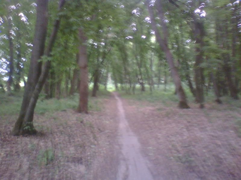 http://upforme.ru/uploads/001a/9f/a0/8/573219.jpg