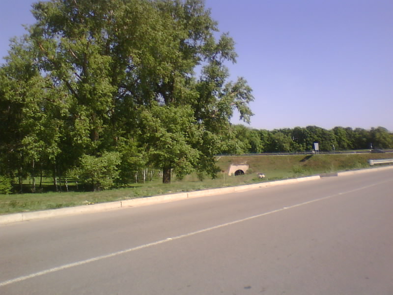 http://upforme.ru/uploads/001a/9f/a0/8/57533.jpg