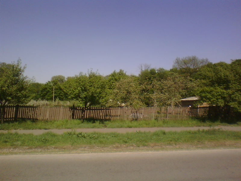 http://upforme.ru/uploads/001a/9f/a0/8/589816.jpg