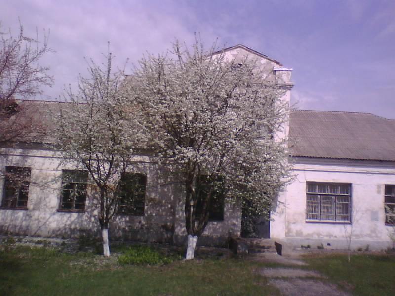 http://upforme.ru/uploads/001a/9f/a0/8/591595.jpg