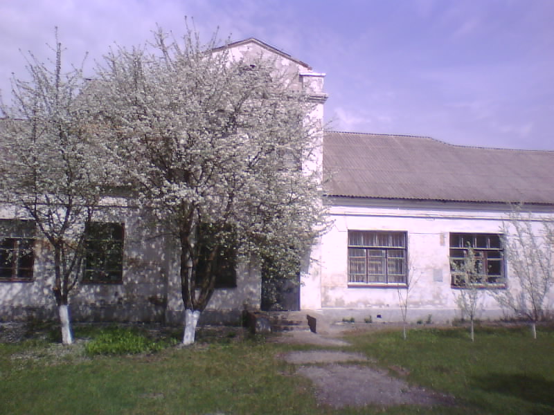 http://upforme.ru/uploads/001a/9f/a0/8/593775.jpg