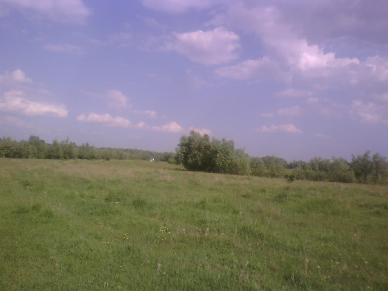 http://upforme.ru/uploads/001a/9f/a0/8/60509.jpg