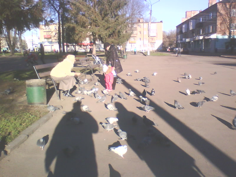 http://upforme.ru/uploads/001a/9f/a0/8/615986.jpg