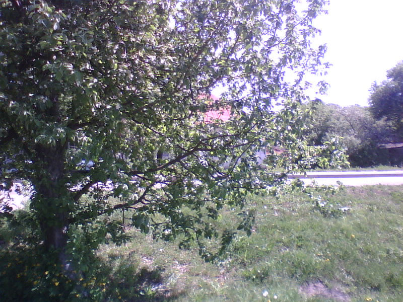http://upforme.ru/uploads/001a/9f/a0/8/628009.jpg