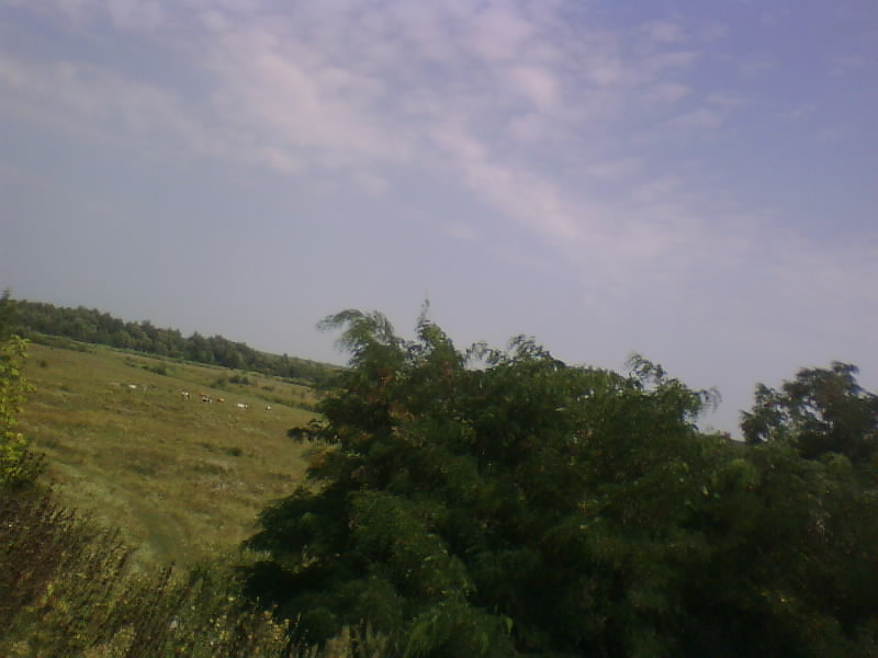 http://upforme.ru/uploads/001a/9f/a0/8/628084.jpg