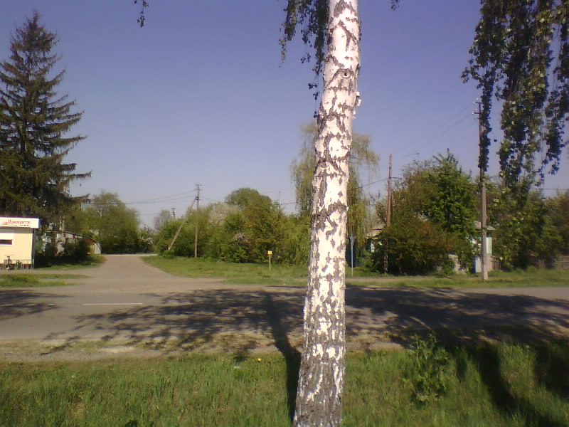 http://upforme.ru/uploads/001a/9f/a0/8/657361.jpg