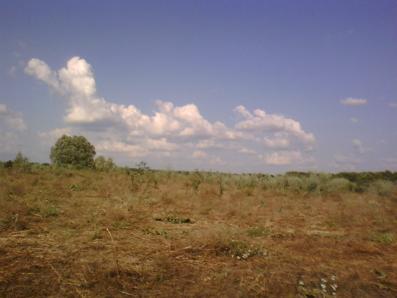 http://upforme.ru/uploads/001a/9f/a0/8/674528.jpg