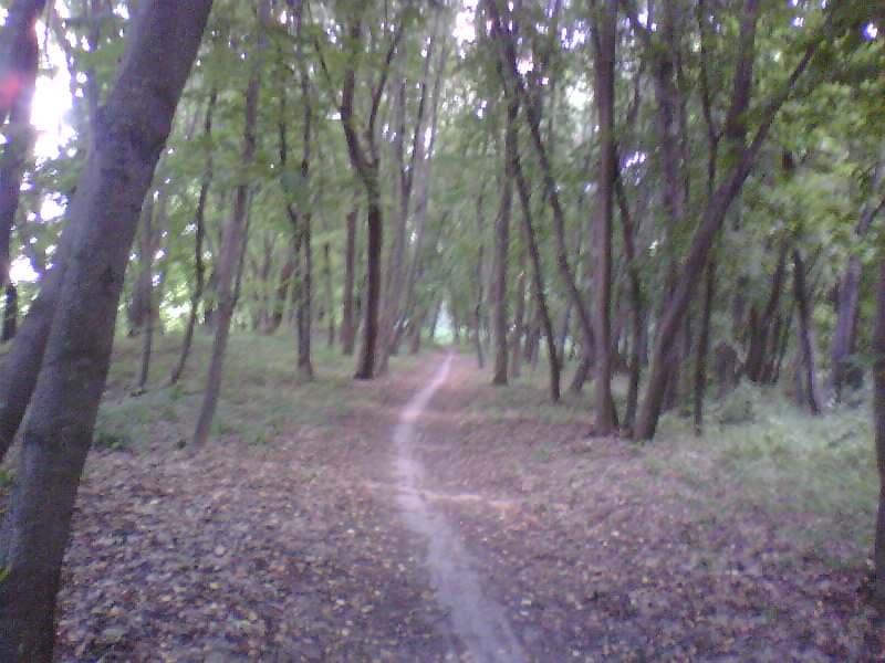 http://upforme.ru/uploads/001a/9f/a0/8/693907.jpg