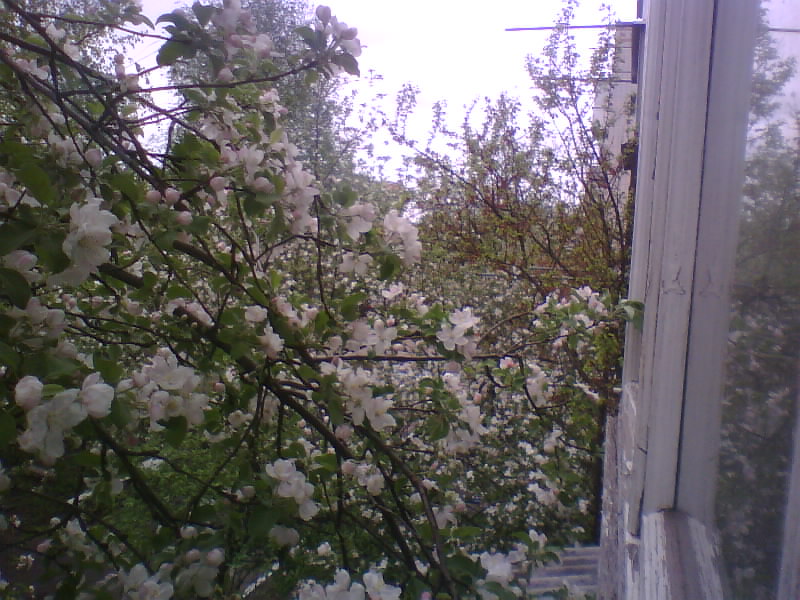 http://upforme.ru/uploads/001a/9f/a0/8/699589.jpg