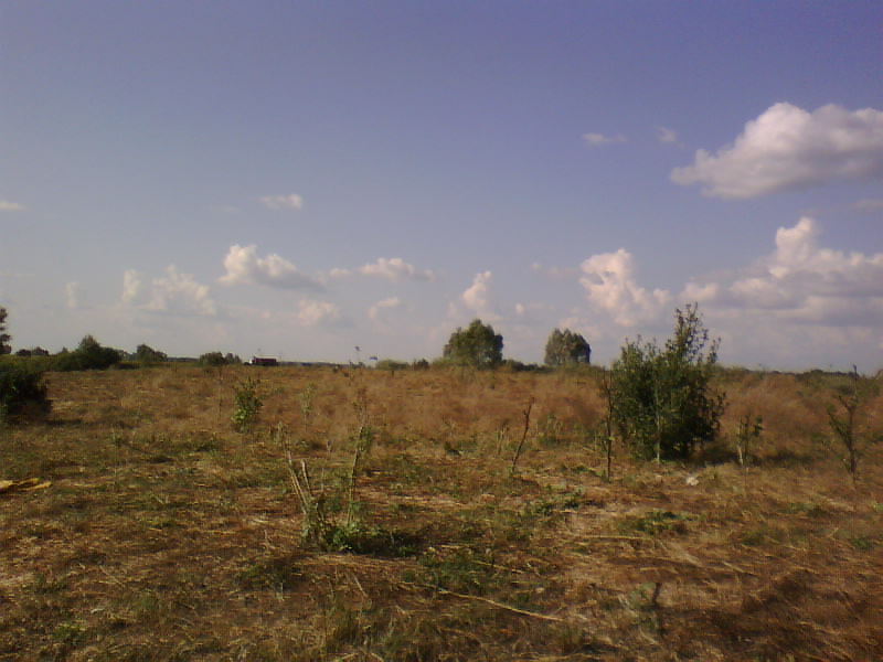 http://upforme.ru/uploads/001a/9f/a0/8/711546.jpg