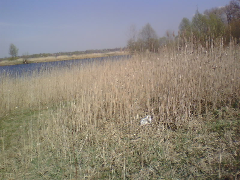http://upforme.ru/uploads/001a/9f/a0/8/729558.jpg