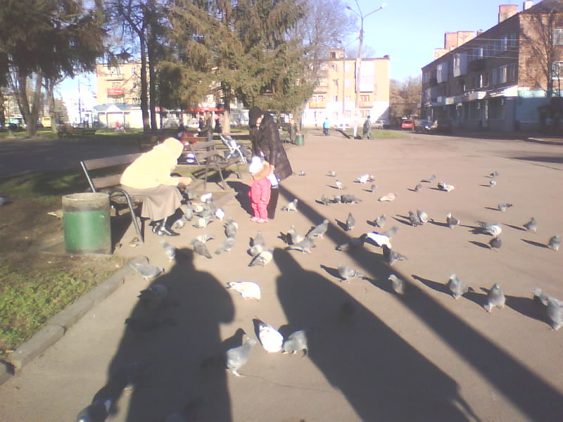 http://upforme.ru/uploads/001a/9f/a0/8/743840.jpg