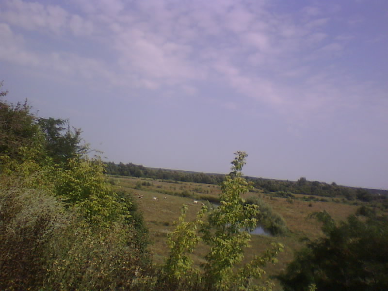 http://upforme.ru/uploads/001a/9f/a0/8/764015.jpg