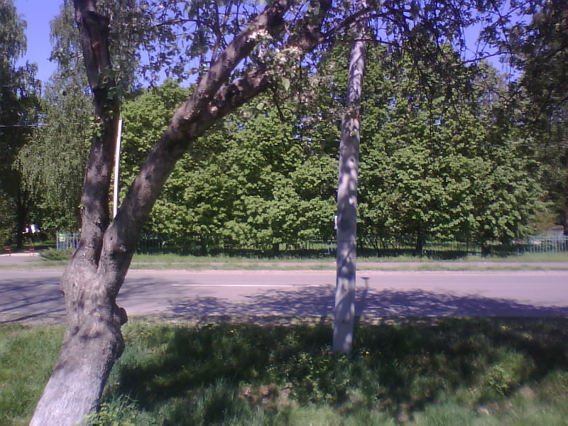 http://upforme.ru/uploads/001a/9f/a0/8/777309.jpg