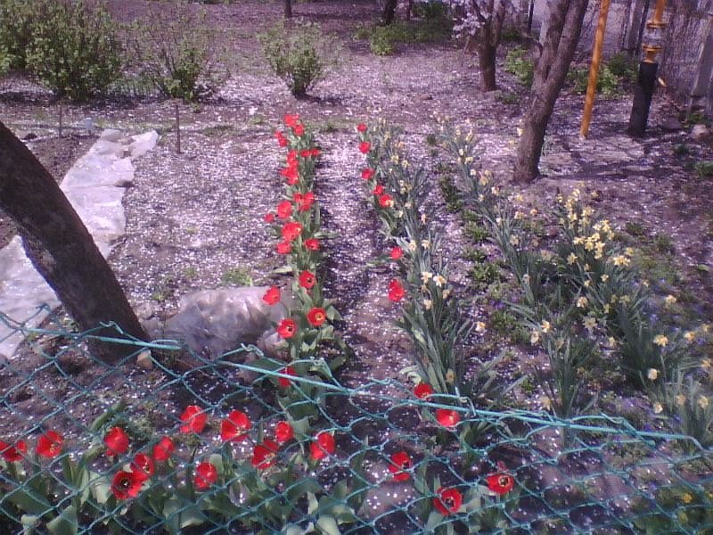 http://upforme.ru/uploads/001a/9f/a0/8/783486.jpg