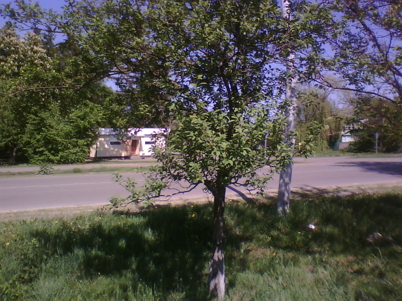 http://upforme.ru/uploads/001a/9f/a0/8/787956.jpg