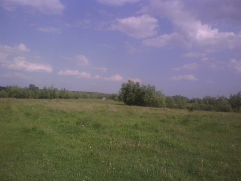 http://upforme.ru/uploads/001a/9f/a0/8/789247.jpg