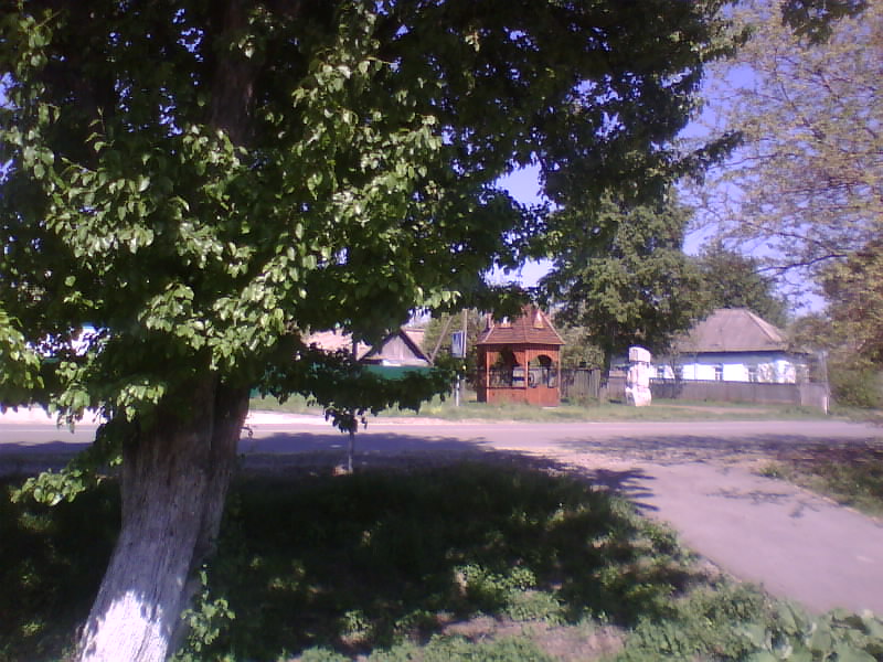 http://upforme.ru/uploads/001a/9f/a0/8/831160.jpg