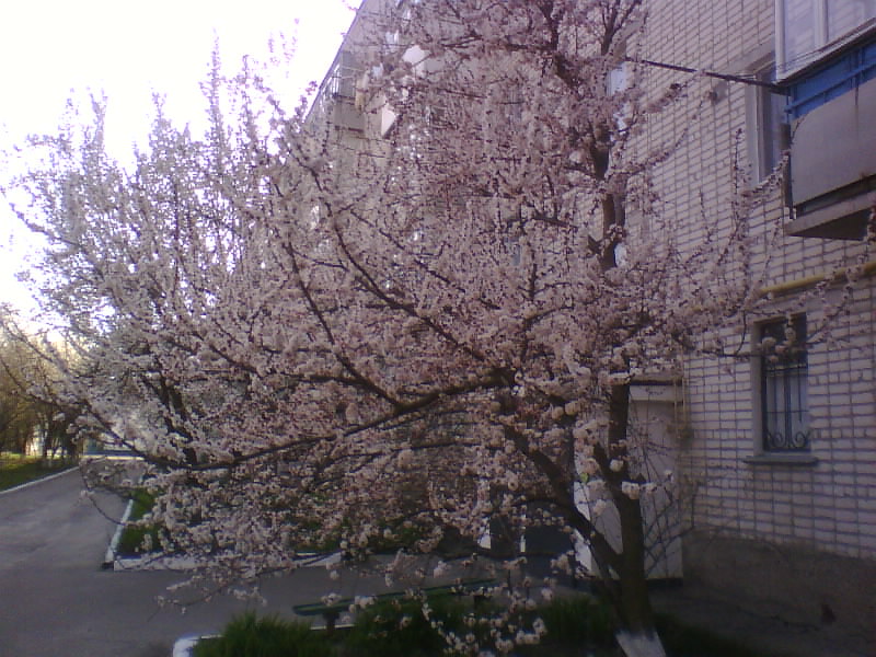 http://upforme.ru/uploads/001a/9f/a0/8/849913.jpg