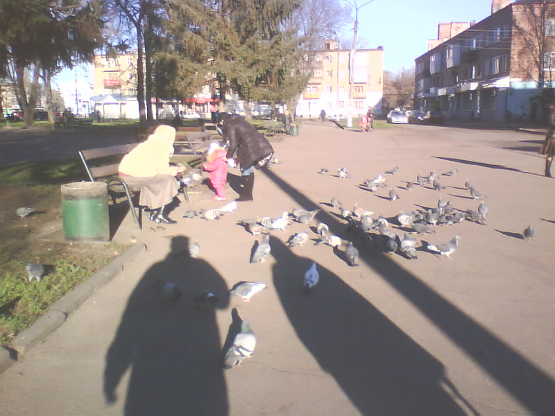 http://upforme.ru/uploads/001a/9f/a0/8/852984.jpg