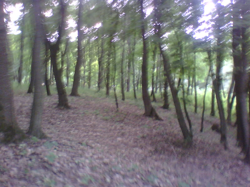 http://upforme.ru/uploads/001a/9f/a0/8/856841.jpg
