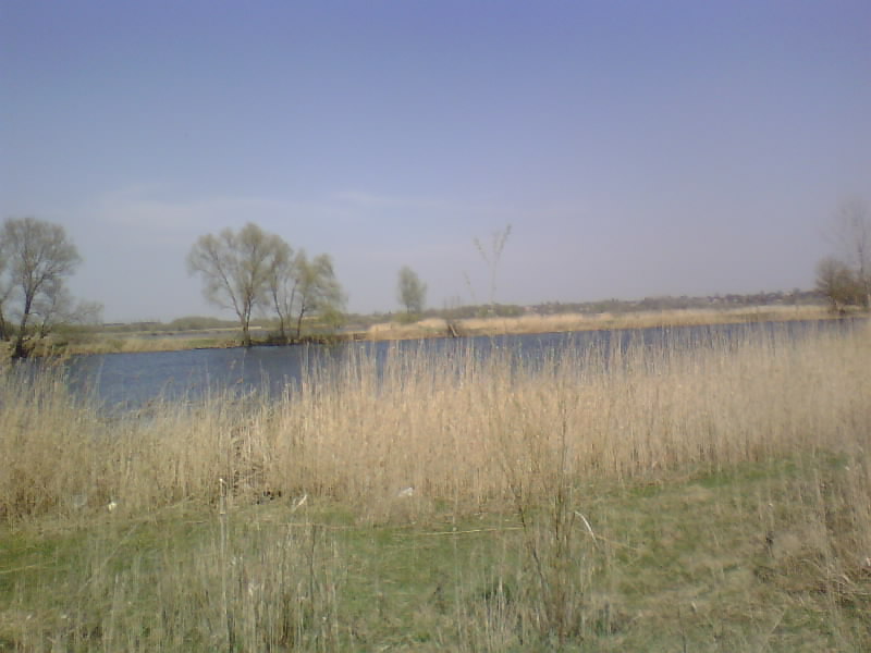 http://upforme.ru/uploads/001a/9f/a0/8/863660.jpg