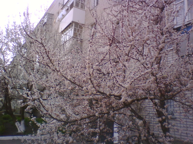 http://upforme.ru/uploads/001a/9f/a0/8/878979.jpg