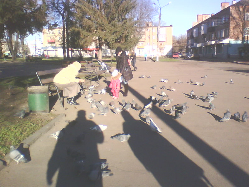 http://upforme.ru/uploads/001a/9f/a0/8/886592.jpg
