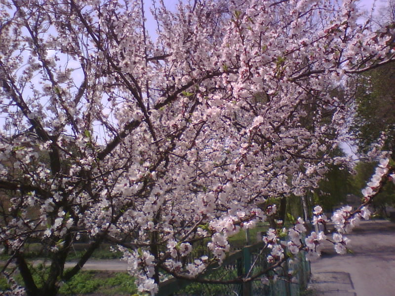 http://upforme.ru/uploads/001a/9f/a0/8/888254.jpg