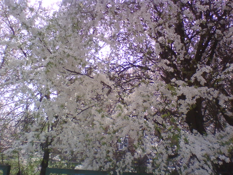 http://upforme.ru/uploads/001a/9f/a0/8/895585.jpg