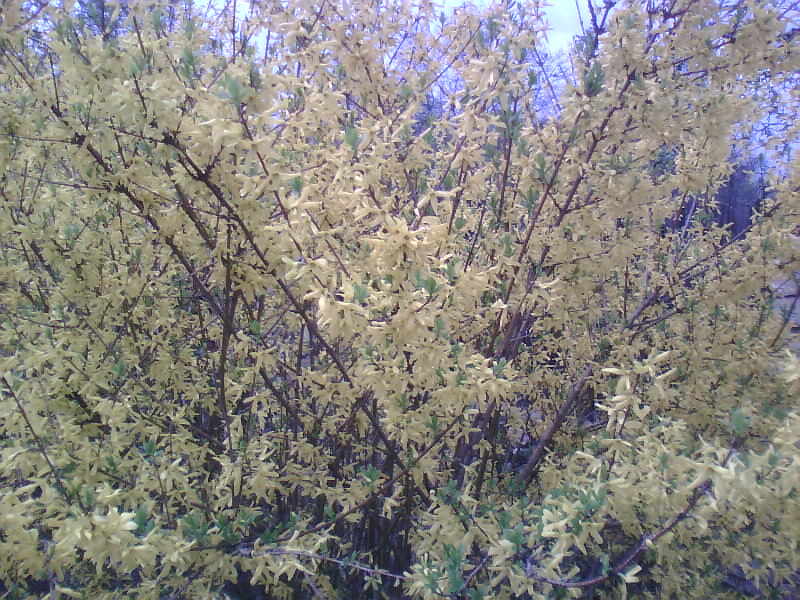http://upforme.ru/uploads/001a/9f/a0/8/896108.jpg