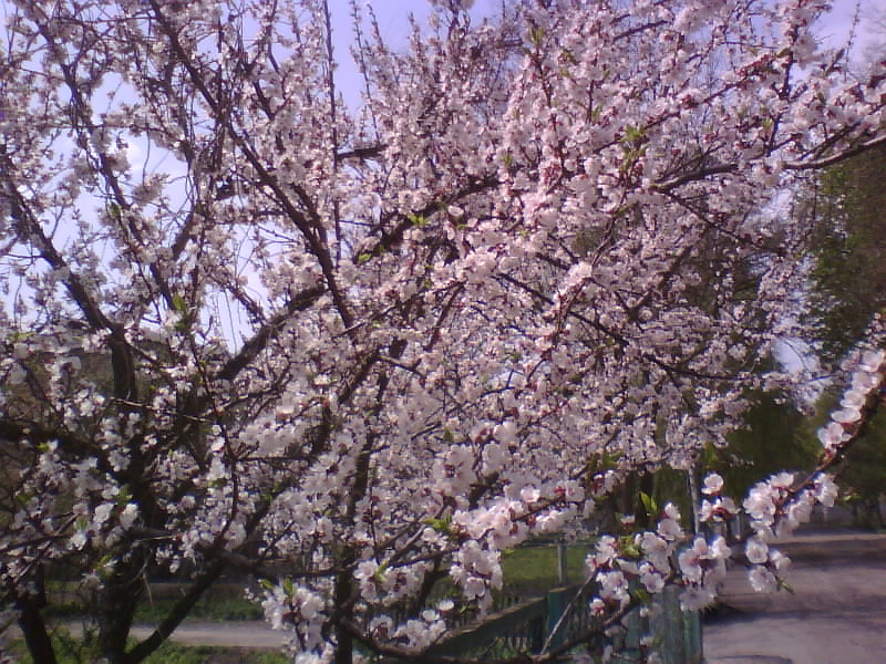 http://upforme.ru/uploads/001a/9f/a0/8/901394.jpg