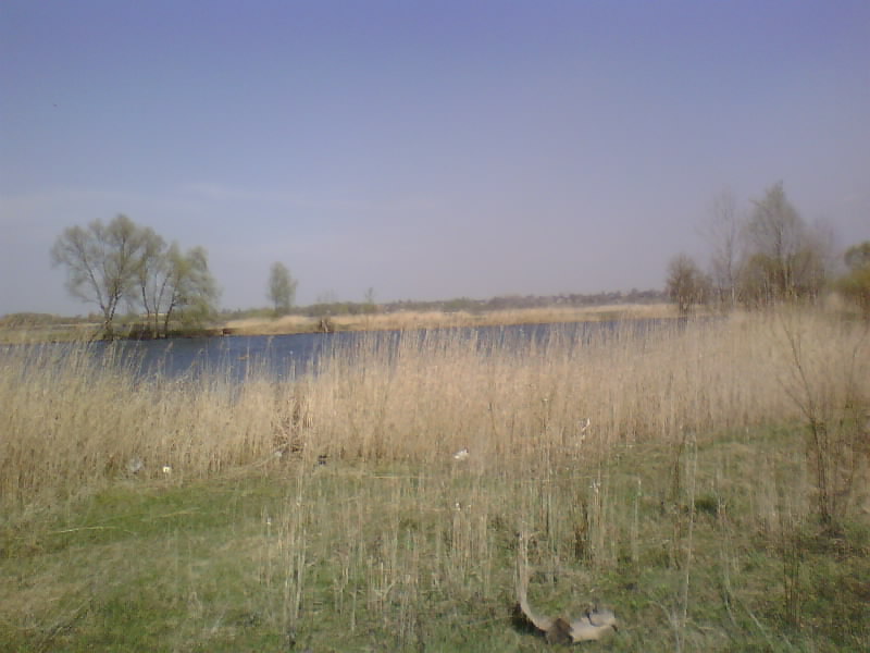 http://upforme.ru/uploads/001a/9f/a0/8/908080.jpg