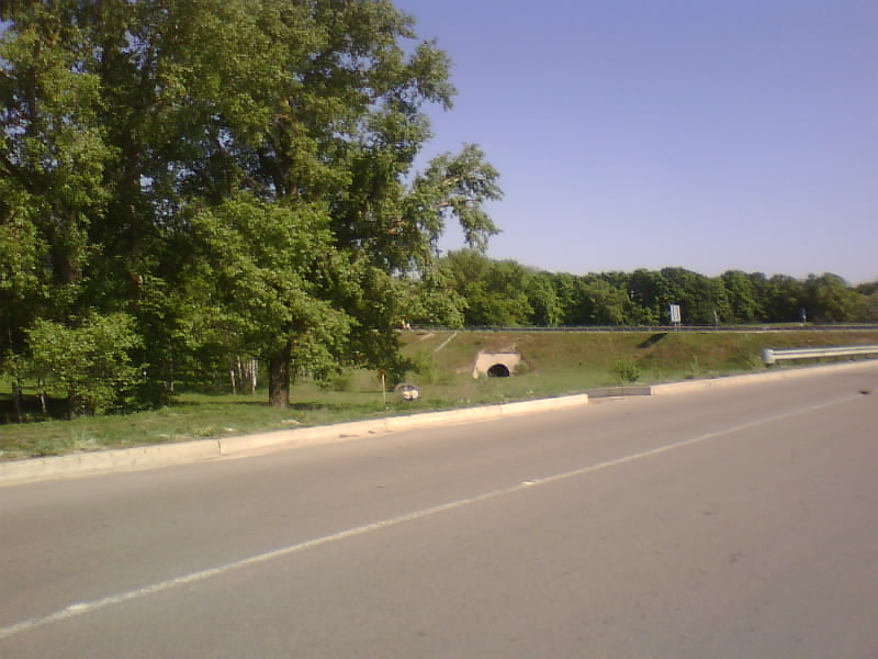 http://upforme.ru/uploads/001a/9f/a0/8/917123.jpg