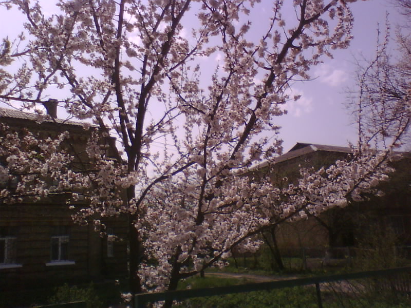 http://upforme.ru/uploads/001a/9f/a0/8/923127.jpg