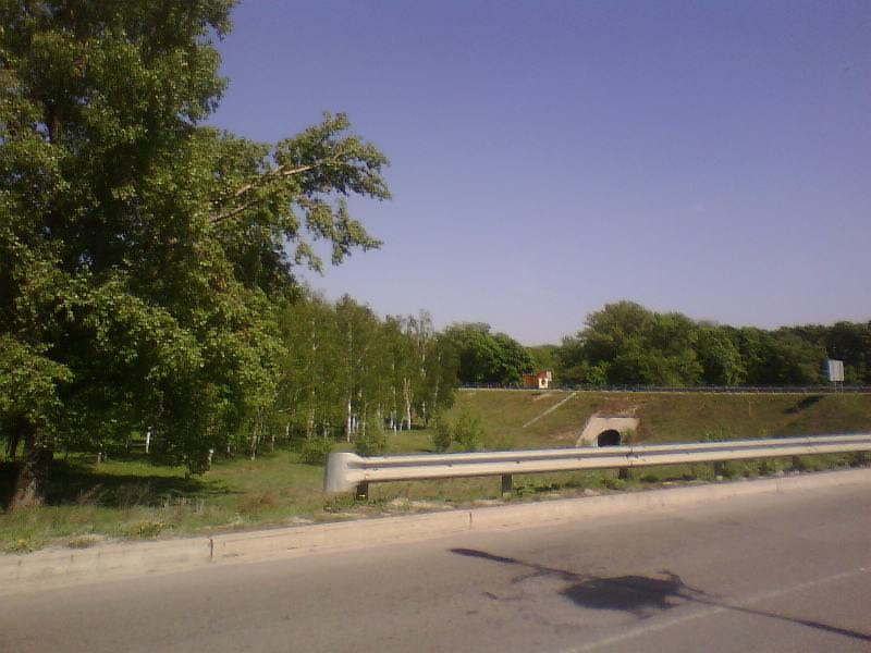 http://upforme.ru/uploads/001a/9f/a0/8/931763.jpg
