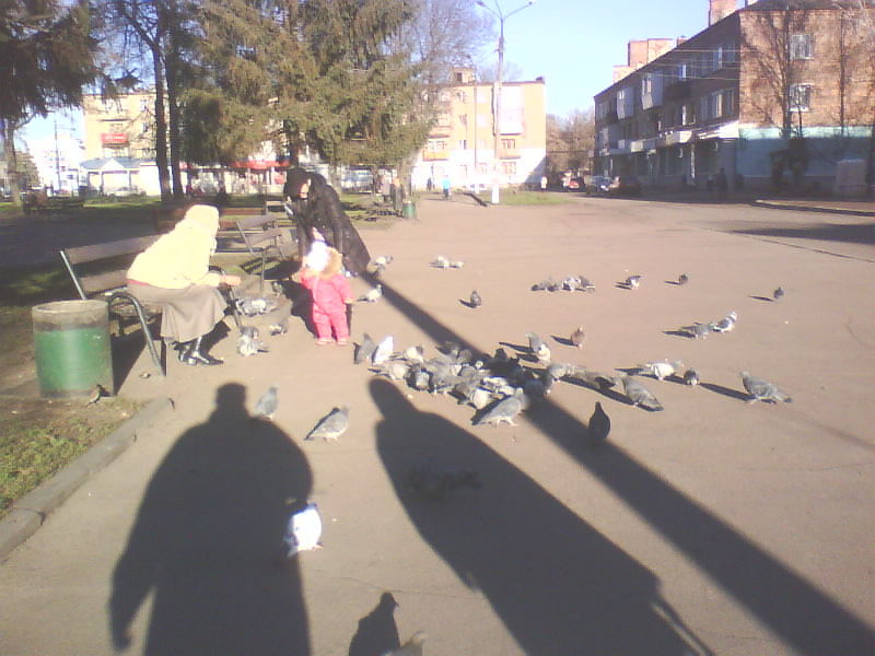 http://upforme.ru/uploads/001a/9f/a0/8/934365.jpg