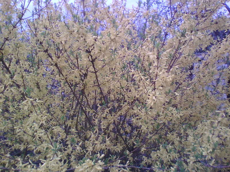http://upforme.ru/uploads/001a/9f/a0/8/939299.jpg