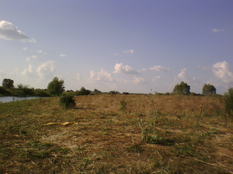 http://upforme.ru/uploads/001a/9f/a0/8/941633.jpg