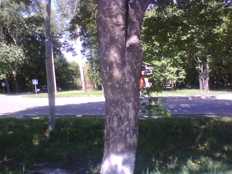http://upforme.ru/uploads/001a/9f/a0/8/946917.jpg