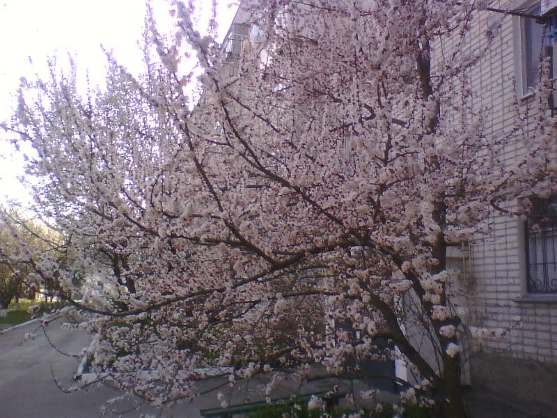 http://upforme.ru/uploads/001a/9f/a0/8/952823.jpg