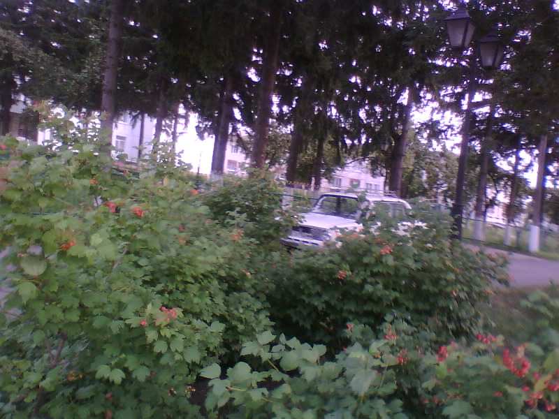 http://upforme.ru/uploads/001a/9f/a0/8/965882.jpg