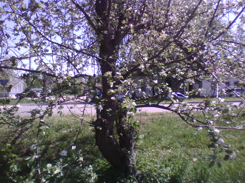 http://upforme.ru/uploads/001a/9f/a0/8/971387.jpg