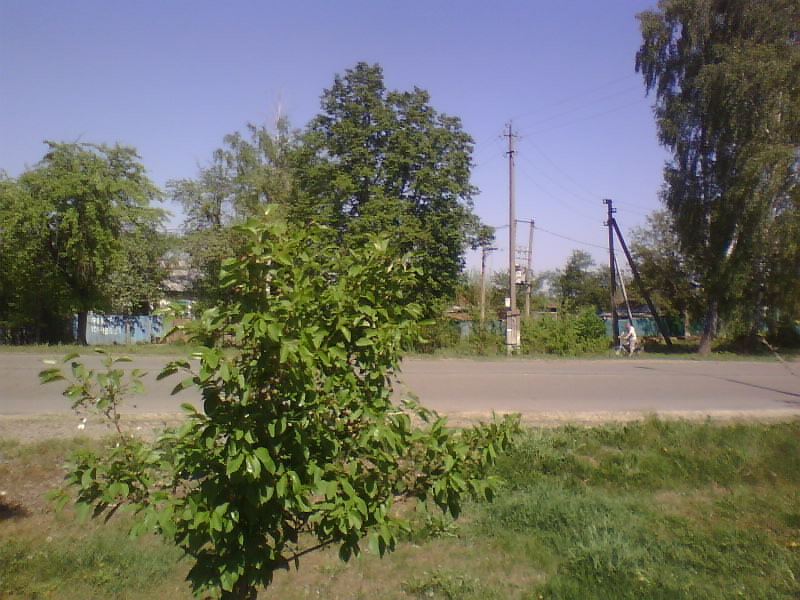 http://upforme.ru/uploads/001a/9f/a0/8/984692.jpg