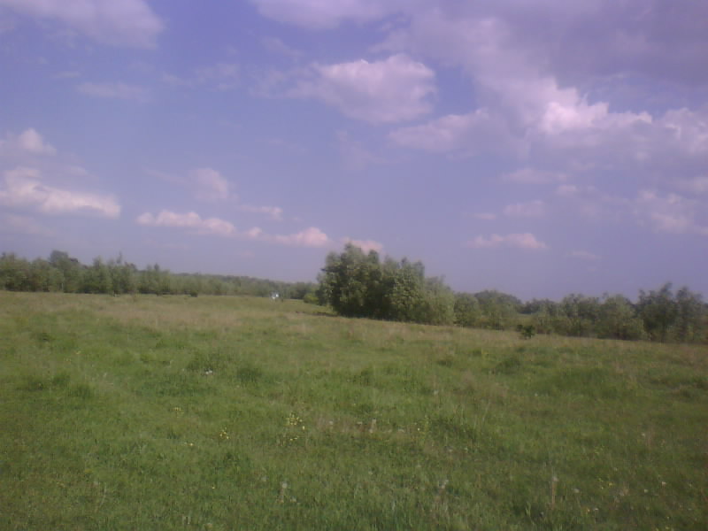 http://upforme.ru/uploads/001a/9f/a0/8/985981.jpg