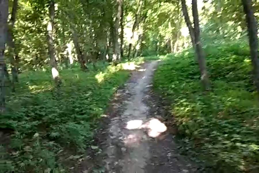 http://upforme.ru/uploads/001a/9f/a0/9/123337.jpg
