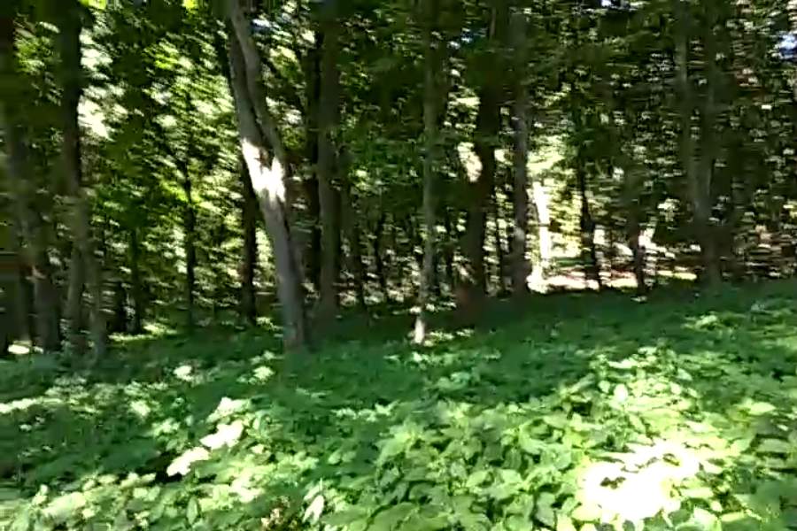 http://upforme.ru/uploads/001a/9f/a0/9/178444.jpg