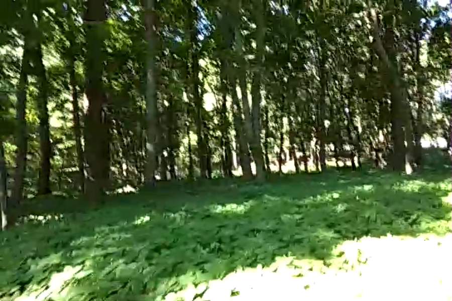 http://upforme.ru/uploads/001a/9f/a0/9/191714.jpg