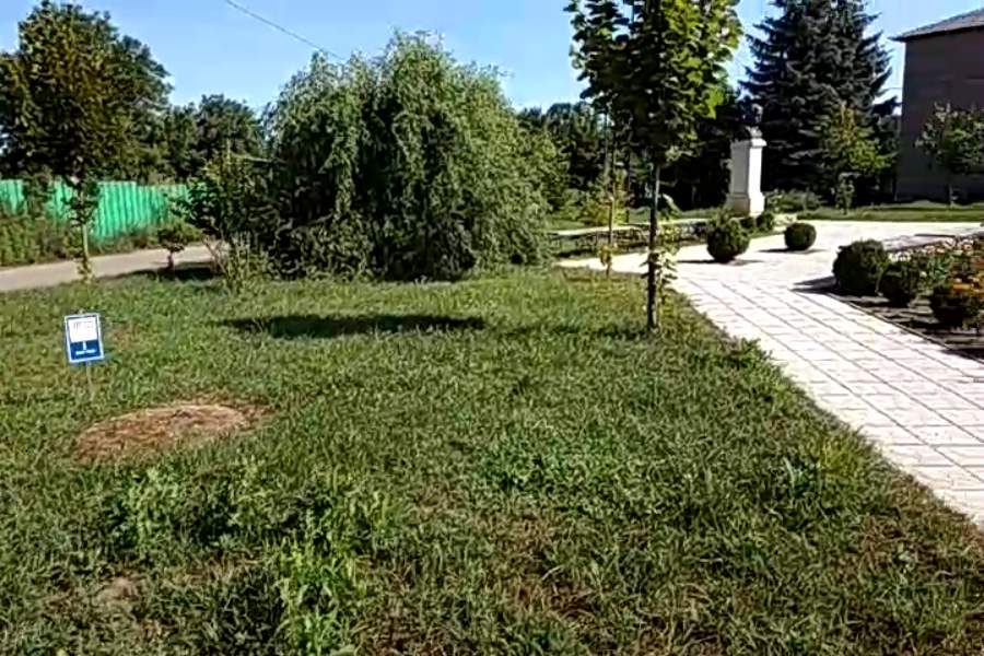 http://upforme.ru/uploads/001a/9f/a0/9/214607.jpg