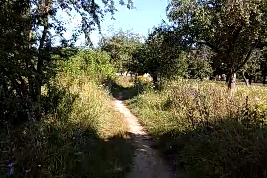 http://upforme.ru/uploads/001a/9f/a0/9/285184.jpg